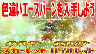 【ポケモンSV】色違いエースバーンを入手しよう 進化入手【ポケットモンスター スカーレット・バイオレット ゼロの秘宝 藍の円盤】Pocket Monsters