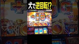 超レア！ケルベロスで逆回転フリーズ！？ #shorts #ミリオンゴッド #ハーデス