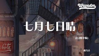 赵乃吉 - 七月七日晴 (DJ阿卓版)「七月七日晴 忽然下起了大雪」【動態歌詞/pīn yīn gē cí】#赵乃吉 #七月七日晴 #動態歌詞