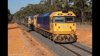 BL31, X48 and 8170 depart Maryborough with 7934V Birchip grain on the Avoca line- 10/3/22