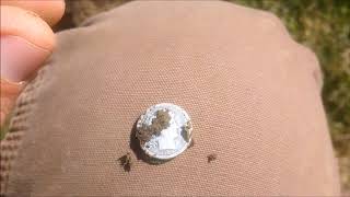 Ep #56 Finding Silver In Public Areas. Metal Detecting Wisconsin Minelab Etrac