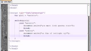 Beginner JavaScript Tutorial 18 switch
