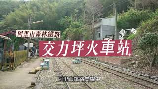 阿里山森林小火車之交力坪車站篇