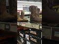 ariat work botas 👢 de trabajo tractor supply