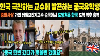 [해외감동사연]한국 극찬하는 교수에 발끈하는 중국유학생 중화사상 가진 케임브리지교수 중국에서 도망쳐온 한국 도착 직후 충격