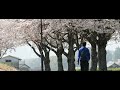 【鳥取県倉吉市】 旧倉吉線跡桜並木 散歩