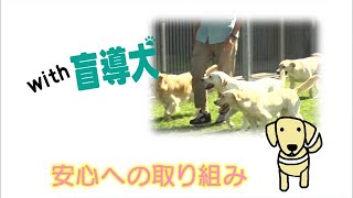 【with 盲導犬】安心への取り組み