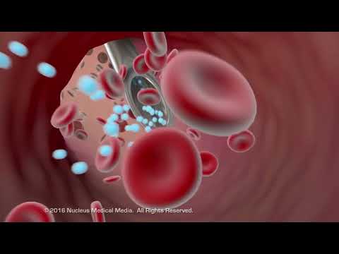 How long does it take for your body to adjust to medication?