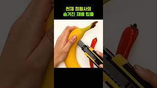 천재 정원사의 숨겨진 재배 팁들