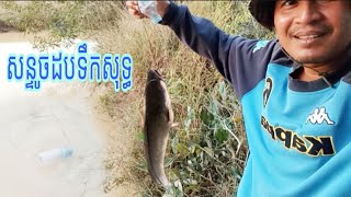 ទឹករីងអស់អណ្តែងធំណាស់ | Khmer Hook Fishing 🎣🦈🦈🦈 #fishlifekh #mylifekh