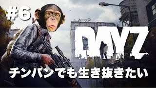 ＃6【DayZ】デイジー初心者サバイバル生活【PS4】ルシールを作りたい、リス狩りに会う、不明の缶ずめで一か八