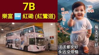 Hong Kong Bus KMB ATENU479 @ 7B 九龍巴士 Alexander Dennis Enviro500 MMC 樂富 紅磡(紅鸞道)