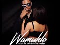 wamuhle__-_ sladee ft sino msolo & Tweeezy(official music)