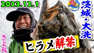 大洗ヒラメ解禁【6.5kgの大物も】2023.12.1魚探にイワシの大群が映ったぞ【茨城大洗・きよ丸】