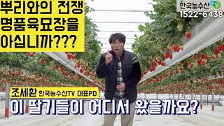 [한국농수산TV] 농사는 뿌리싸움~ 뿌리와의 전쟁에서 승리하는 비법!! 마이스터 1호가 운영하는 명품육묘장을 아십니까? 충남 논산