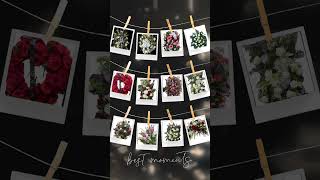 Heartfelt Tributes: Elegant Funeral Sprays