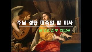 주님 성탄 대축일 밤 미사 (손상오 신부)