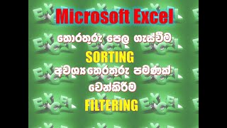 8 - how to sort and filter by using microsoft excel- sinhala (it plus)