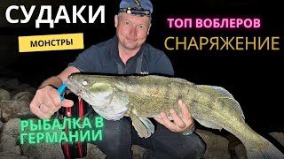 Топ воблеров на ночного судака. Судаки монстры. Рыбалка в Германии.