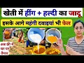 महंगे फंगीसाइड और कीटनाशक से कई गुना ताकतवर | Organic Fertilizer | Fungicide Insecticide | kheti