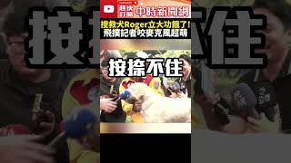 搜救犬Roger立大功餓了！　飛撲記者咬麥克風超萌 @ChinaTimes #shorts #roger #搜救犬 #搜救隊 #第三具遺體 #胡姓女子 #獨攀 #砂卡噹步道 #花蓮 #地震 #強震