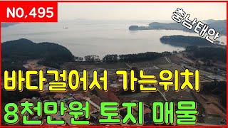 매물번호495번 바다걸어서 가는위치 8천만원 토지매물 일등부동산TV