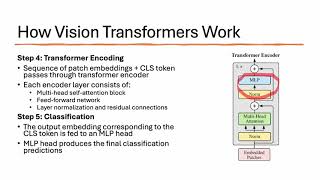Vision Transformers Explained: How ViT is Revolutionizing Computer Vision | Complete Tutorial 2025