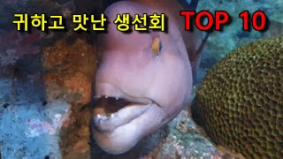 생선회추천. 한국에서 가장 귀하고 맛있는 생선회 순위 Top 10