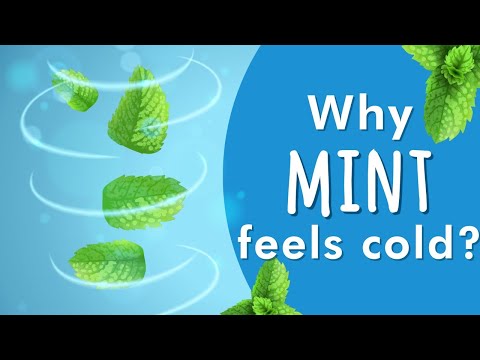 Why does my mouth feel cool?