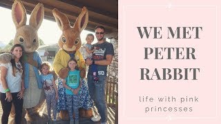 PETER RABBIT AT WILLOWS ACTIVITY FARM 2019 | VLOG 46