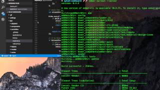 Easy TDD with Ember CLI and Node Webkit