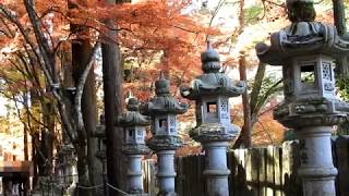 佛通寺の紅葉 / Autumn leaves of Buttsuji Temple