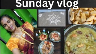 sunday vlog#Morning to evening works# Tomato rice# jackfruit halwa#youtube videos# trending