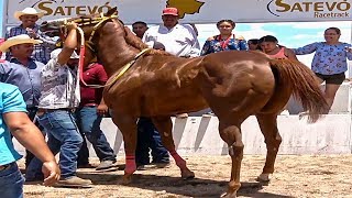 ESTELAR 500 VARAS | SR DE LA BARRA VS PEQUE | DE LA GARZA PHOTOFINISH