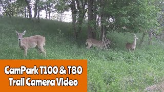 CamPark T100 \u0026 T80 Trail Cams Feb/Mar/Apr 2023