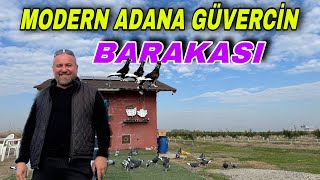 ADANA GÜVERCİNİ BESLEYEN GERÇEK BİR EMEKÇİ !!!