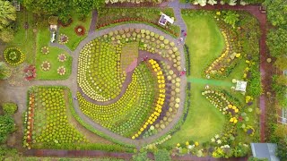 【VLOG】空拍苗栗花露休閒農場景色｜Views around Flower Home in Miaoli｜貝殼仔的日常 The Shells' Daily