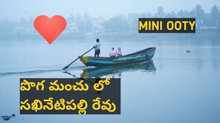 Beauty of Sakhinetipalli Revu ||  పొగ మంచు లో సఖినేటిపల్లి రేవు || Mini Ooty? || thevillagefilmmaker