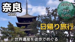 【奈良】弾丸日帰り旅行！徒歩で世界遺産をめぐる旅