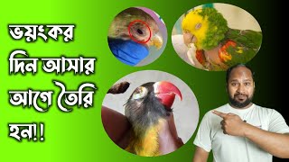 আগত সামনের আবহাওয়ায় পাখিকে ঠিক রাখার নিনজা টেকনিক 🥺🥺🥺