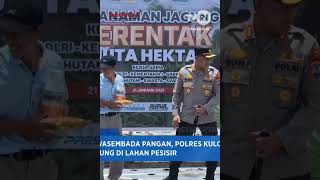 DUKUNG SWASEMBADA PANGAN, POLRES KULON PROGO TANAM JAGUNG DI LAHAN PESISIR