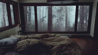 Bruit de la pluie pour dormir - Bruit de pluie Détente dans la forêt brumeuse sans tonnerre