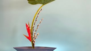 Shoka Shofutai - Alocasia, Heliconia, Pussywillow