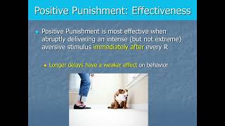 Behavior Analysis and Learning - Aversive Conditioning Pt2 - Punishment Effectiveness