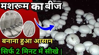 मशरूम 🍄का बीज (Mushroom Spawn) बनाना हुआ आसान! इस video के द्वारा आसानी से सीखें 👍