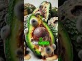 Why You Should Stop Eating Avocado: The Shocking Truth Revealed