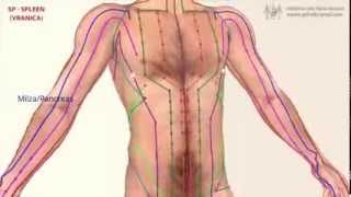 Meridiani Energetici medicina cinese