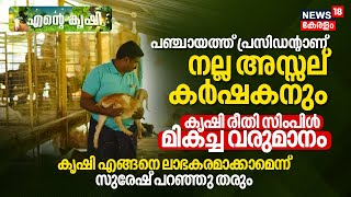 Ente Krishi | പഞ്ചായത്ത് പ്രസിഡന്റാണ് നല്ല അസ്സല് കർഷകനും, കൃഷി രീതി സിംപിൾ മികച്ച വരുമാനം, N18V