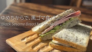 Black sesame bread from Yumechikara *Simple cucumber and ham sandwich