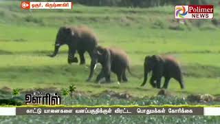 ஓசூர் சானமாவு அருகே  காட்டு யானைகள், பொதுமக்கள் பீதி